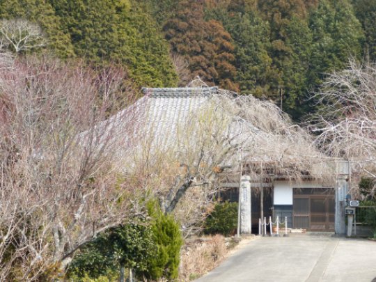 法林寺